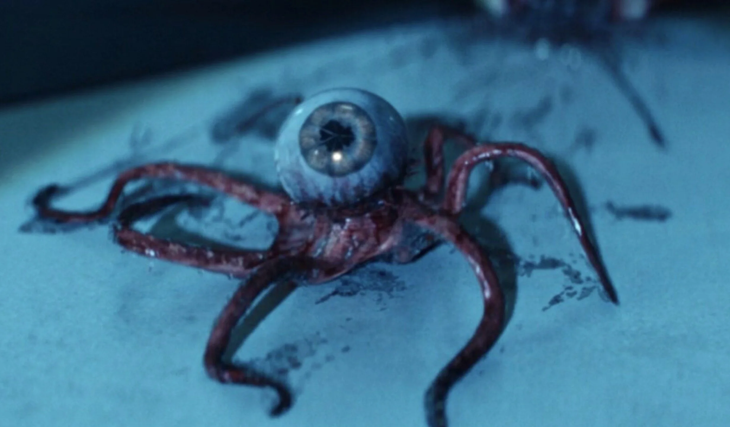 Alien: Creator of the Earth says that the alien of the eyeball is the most disturbing thing you will see all year round Alien: Creator of the Earth says that the alien of the eyeball is the most disturbing thing you will see all year round